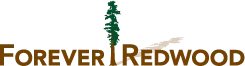Forever Redwood
